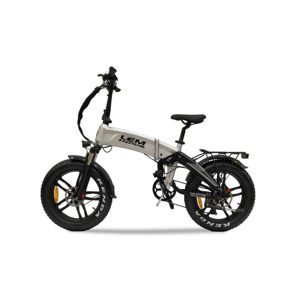 Bicicletta Elettrica Lem Motor Dallas Luxury 250w 36v omologata alla guida su strada E-Bike