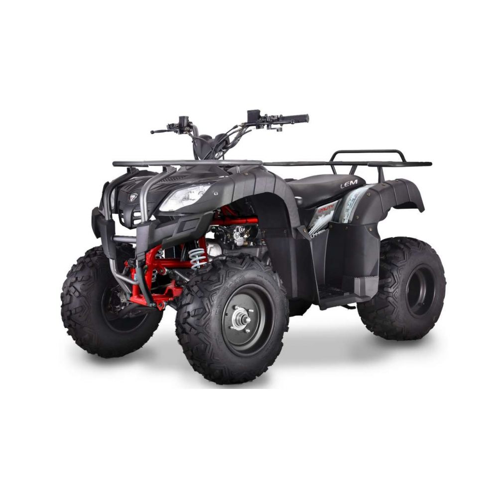 Quad ATV Hummer Targabile Lem Motor 200CC Con Portapacchi Ruote 10"